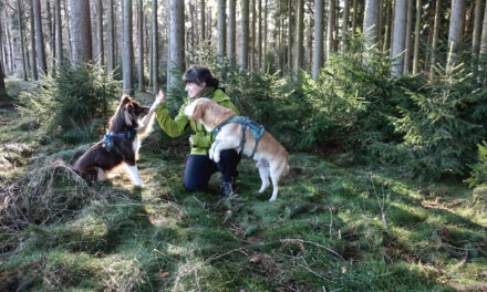 Eröffnung der Hundeschule Waldpfötchen
