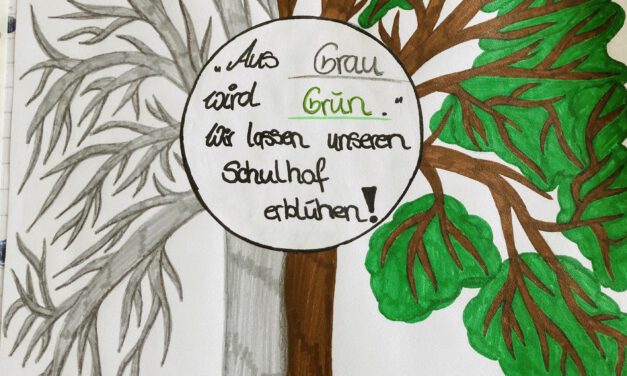 Aus Grau wird Grün – Teil 1: Wie alles begann…