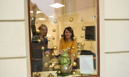 Die Magie kehrt zurück: Die 3. Greizer Märchenfenster erleuchten die Innenstadt!