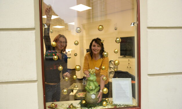 Die Magie kehrt zurück: Die 3. Greizer Märchenfenster erleuchten die Innenstadt!